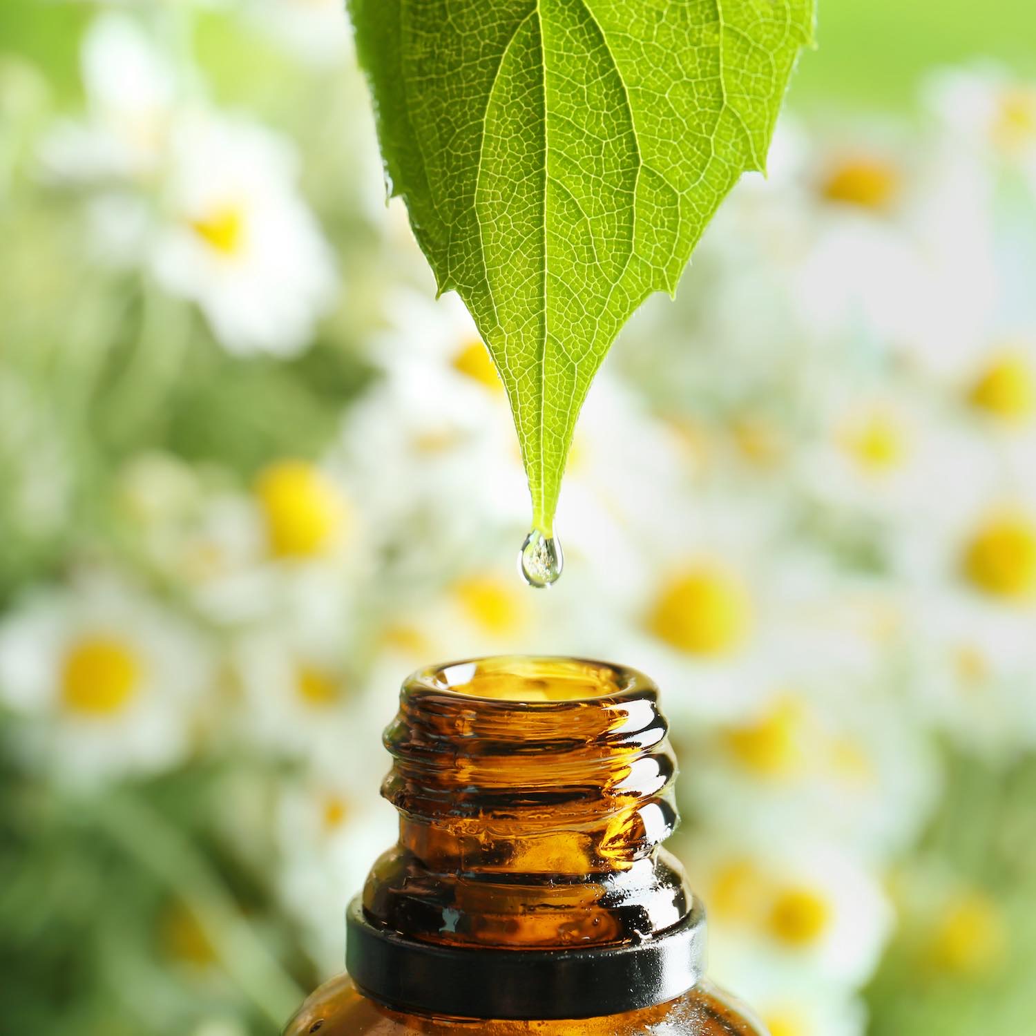 Aromathérapie, Pharmacie des écoles, Rueil-Malmaison